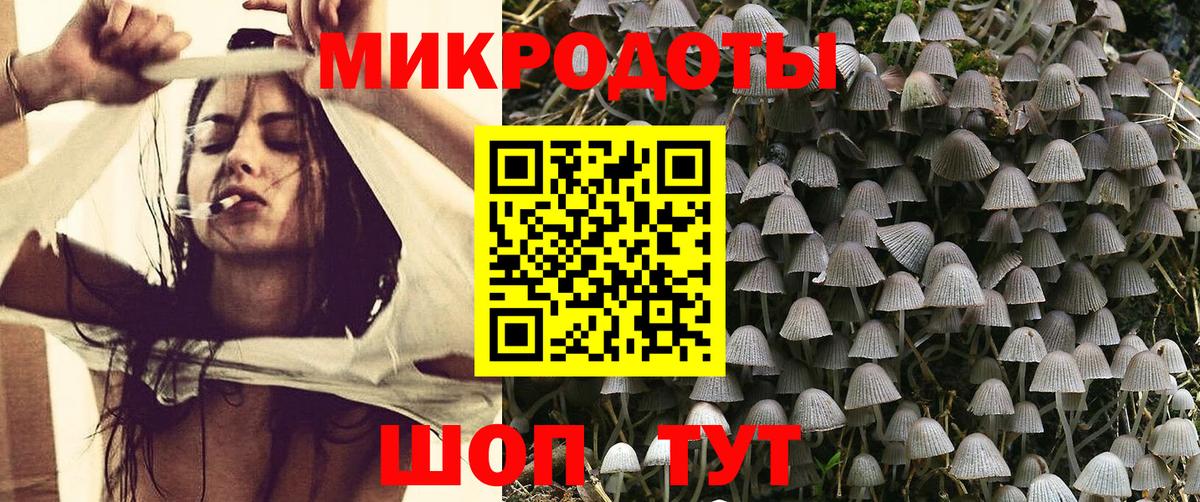 Галлюциногенные грибы Psilocybine cubensis Реж