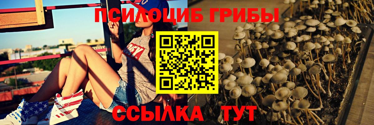 Кокаин  Гашиш  МЕФ кристаллы  Канабис  Реж  ГАШИШ  Вход с VPN 